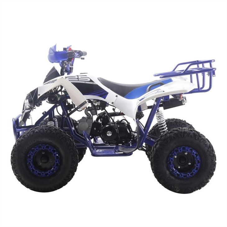 125cc quad atv 1